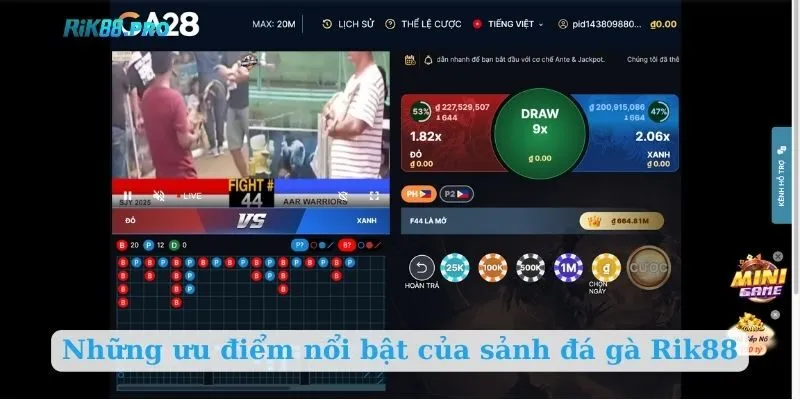 Những ưu điểm nổi bật của sảnh đá gà Rik88